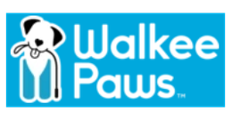 skye paw patrol remote control