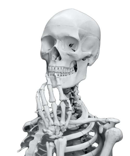 halloween-sales-decorations-header-skeleton