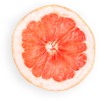 Orange Slice