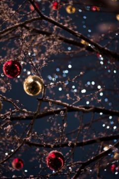 christmas-ornaments-branches