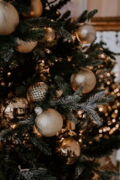 christmas-tree-gold