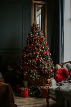 christmas-tree-room